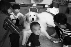 IMG_2080 vvv