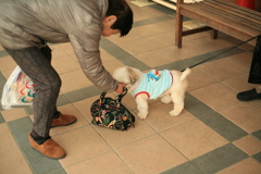 甘えんぼしてる姫ちゃん