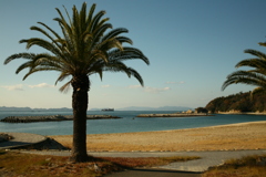 大浦海岸＠松山市