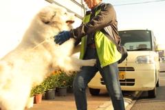 おじさんに甘えるココさん