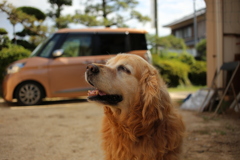 お昼過ぎにやっと朝ご飯を食べたみゅうちゃん