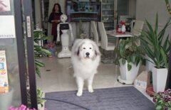 EosKiss3にて今朝　FujiC200