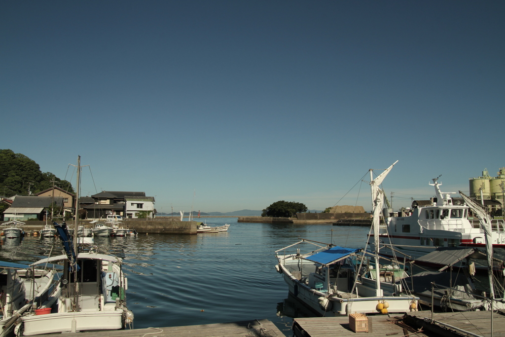 朝＠2020‐08‐16