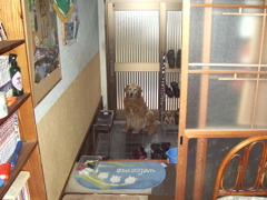 今日も元気な営業本部長みゅうちゃん