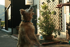 ナイスキャッチなみゅうちゃん