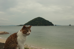 トム君