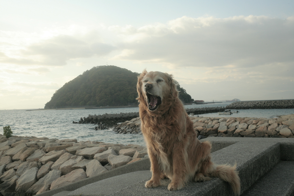 みゅうちゃんと浜にて