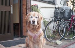 昨日　フィルムにて