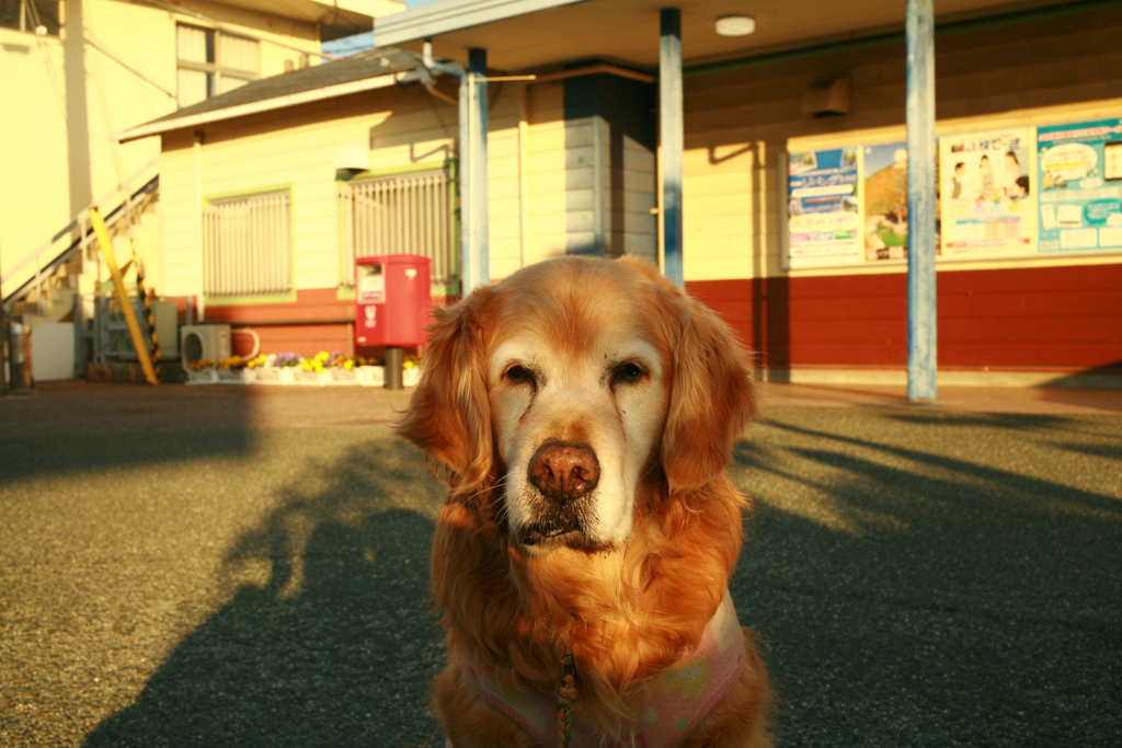 みゅうちゃん＠伊予北条駅