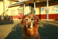みゅうちゃん＠伊予北条駅