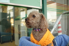 おばあちゃんの帰りをスーパーの入り口でまってるゲンちゃん