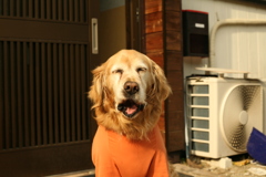 春日和＠2019-03-28