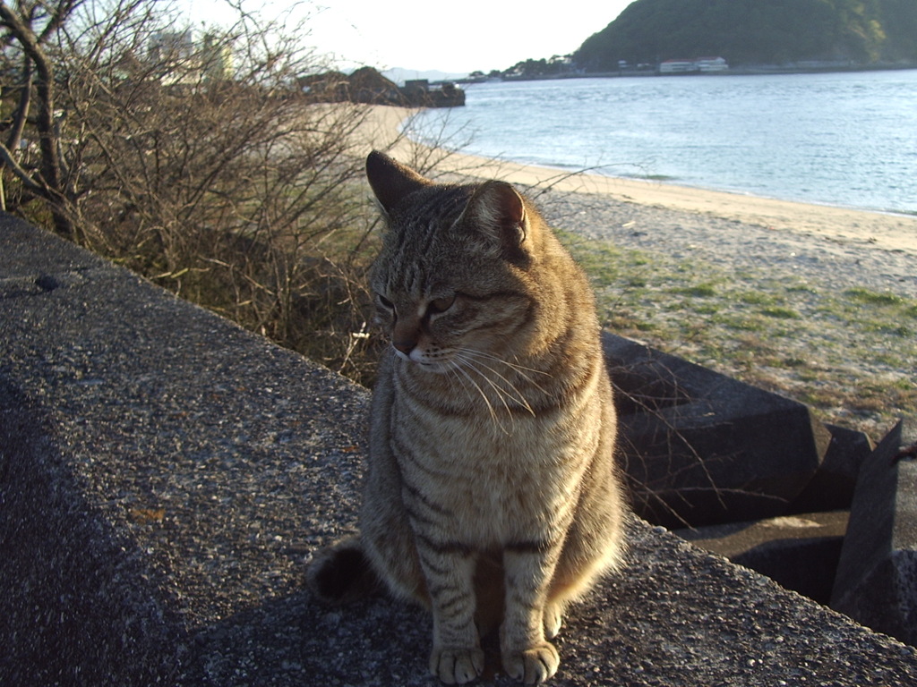 IMGP0753