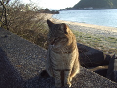 IMGP0753