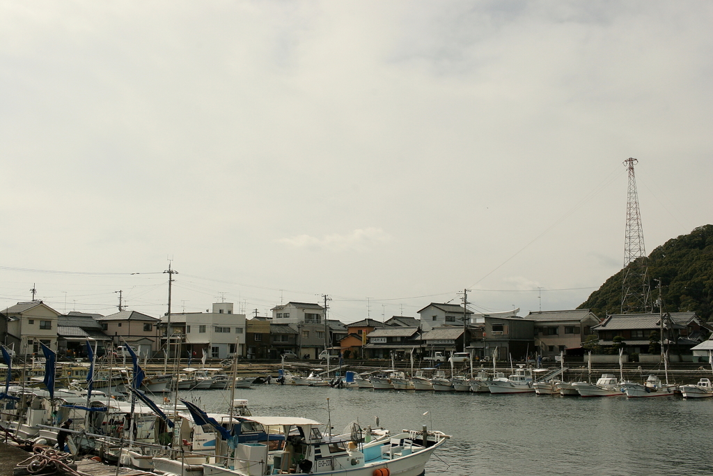 Eos20Dを持ち出す　８