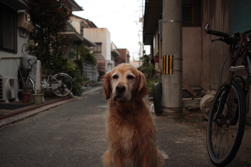 みゅうちゃん＠北条水軍ユースホステル