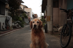 みゅうちゃん＠北条水軍ユースホステル