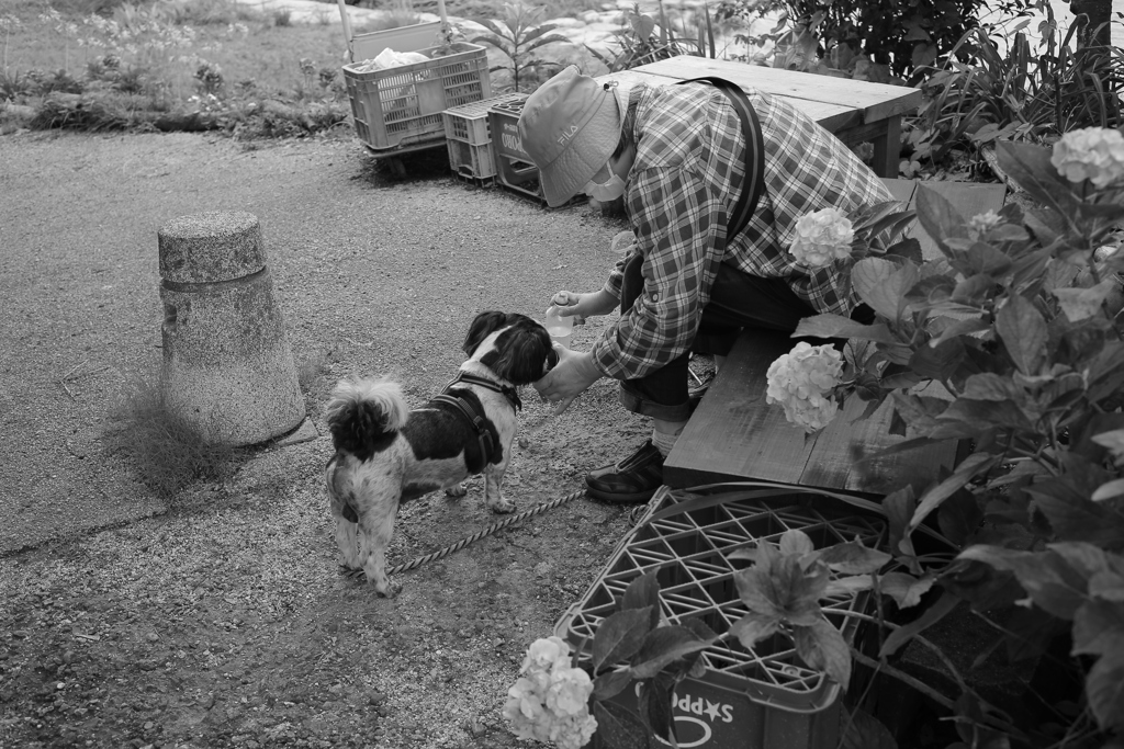 水をもらうマック