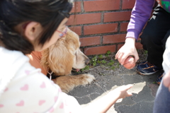 20Dで撮って出しで古臭い色味