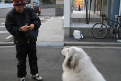 おじさんにチーズをもらうココちゃん