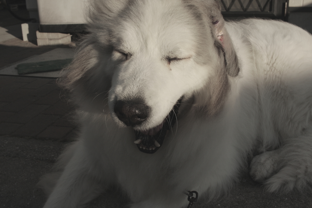 今日は本気で寒い　３