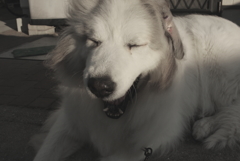 今日は本気で寒い　３