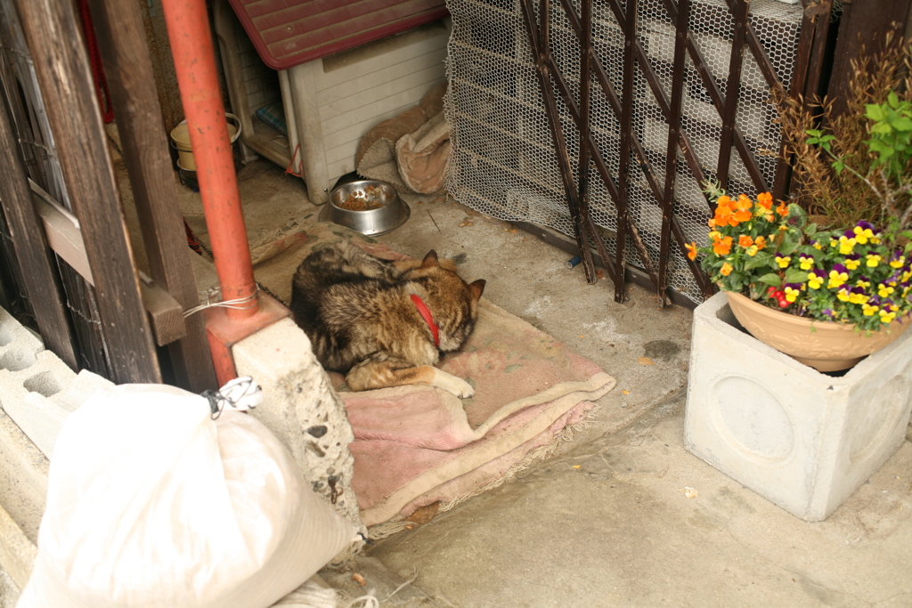 令和初日も平和な一日＠2019-05-01