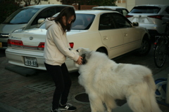 お姉さんに甘えるココさん