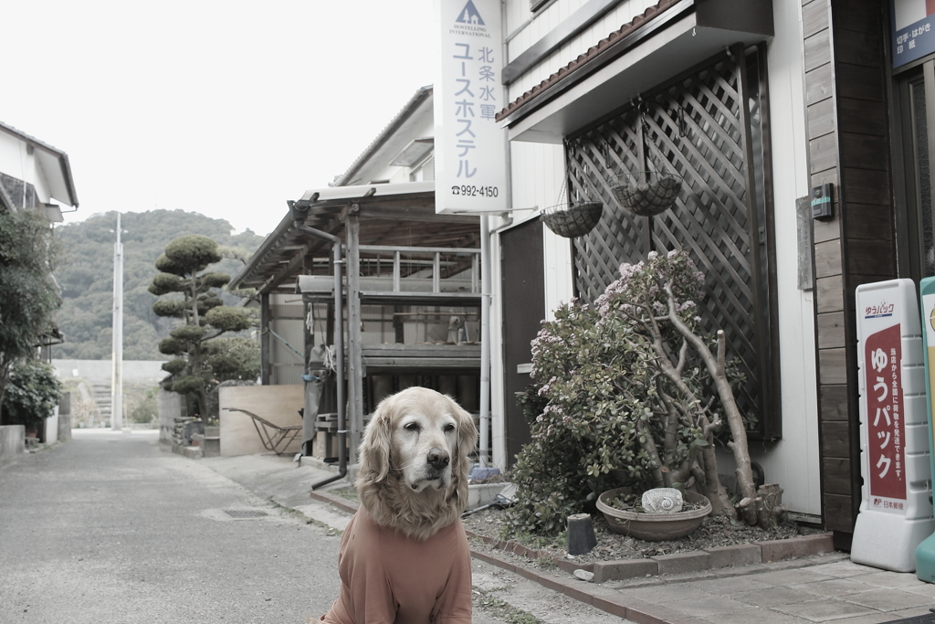 今日もみゅうちゃんと駅に散歩に行く