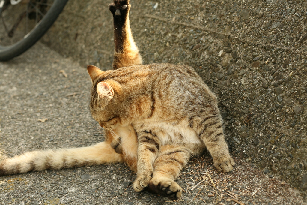 春日和＠2019-03-28