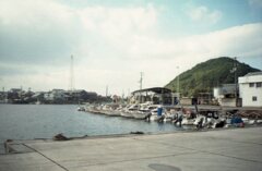 たまに写るけど