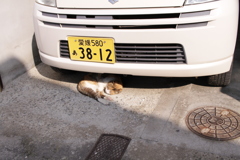 あったかい＠2019-03-21