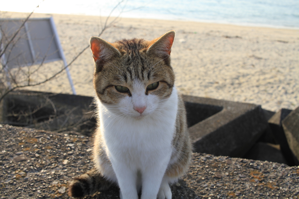 @2018-02-09 けっこうあったかい