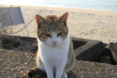 @2018-02-09 けっこうあったかい