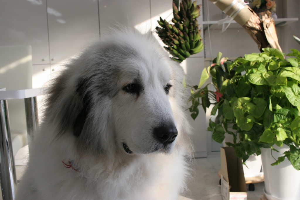 @2018-02-12 建国記念日