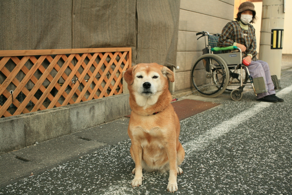 モモちゃんのお母さん一か月入院してたそうで