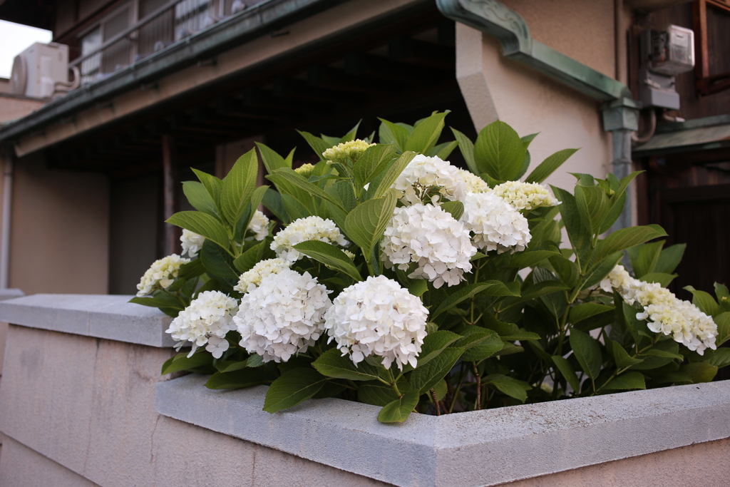 イミフ系朝写真