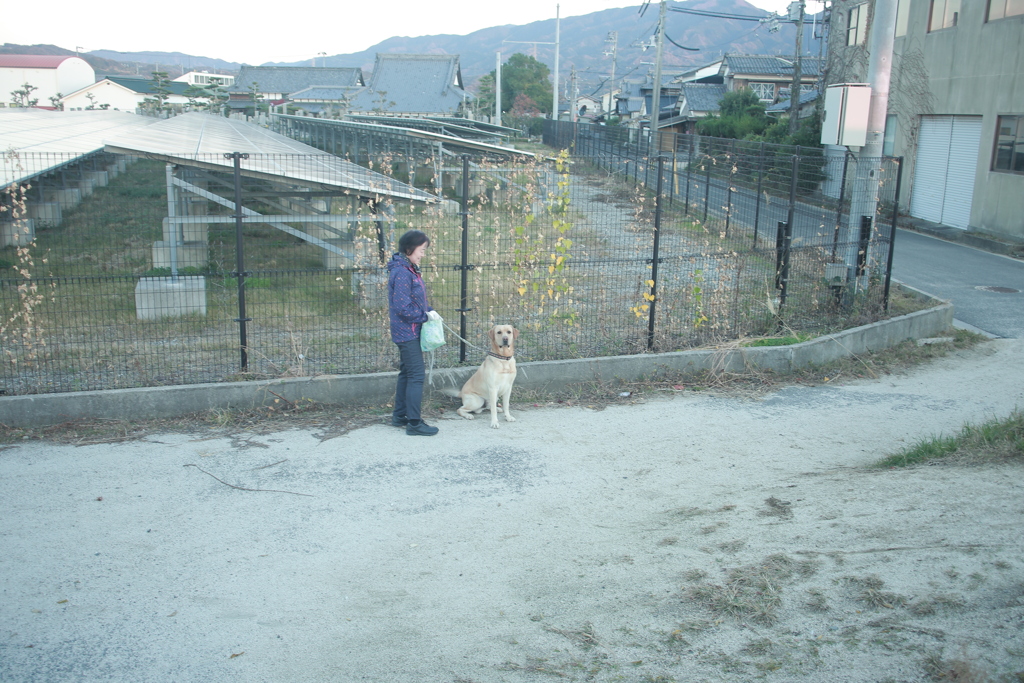 ＠2020‐11‐21