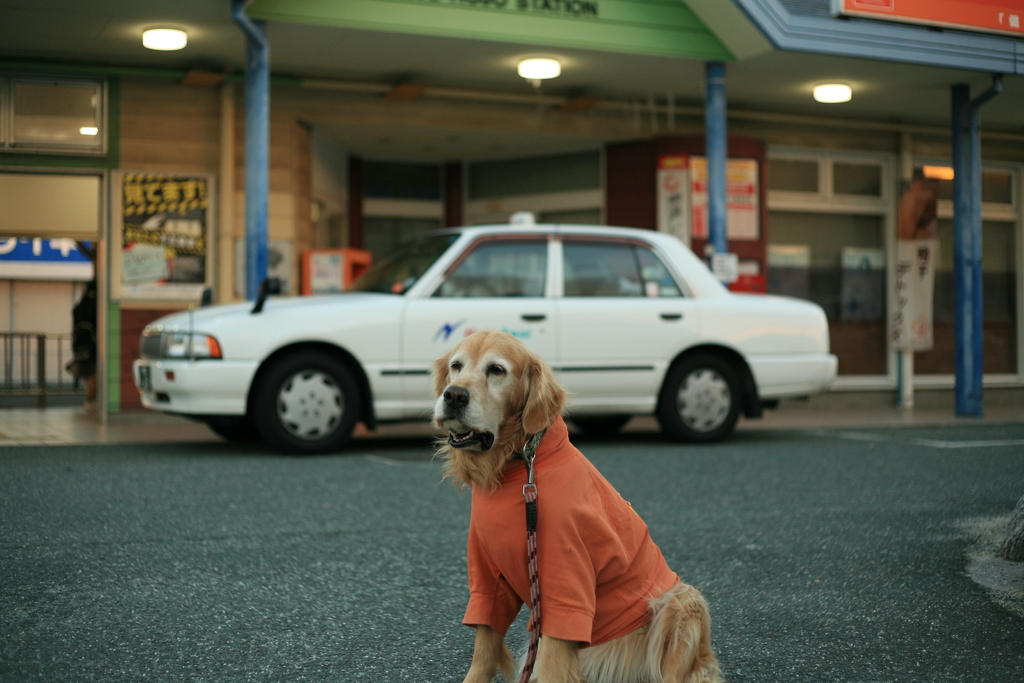 みゅうちゃんと駅に散歩に行く