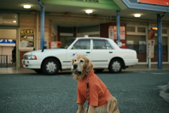 みゅうちゃんと駅に散歩に行く