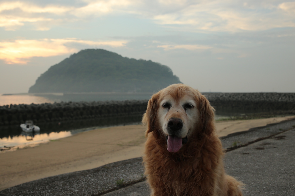 みゅうちゃんと散歩
