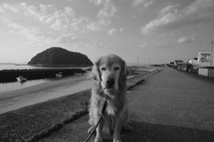 みゅうちゃんと散歩