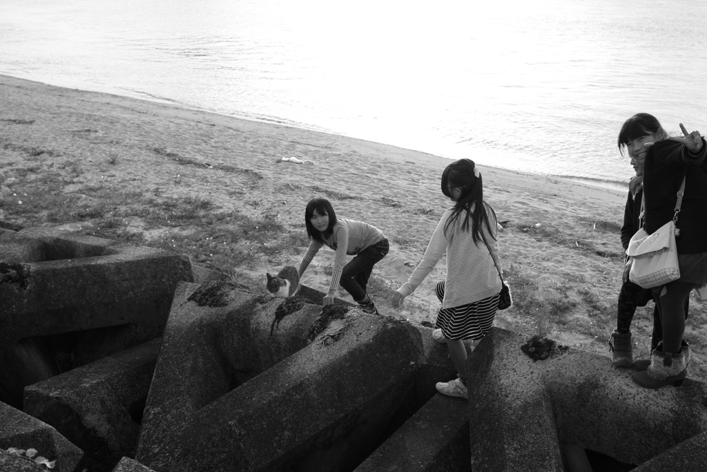 11-12の写真表示がおかしいので再掲