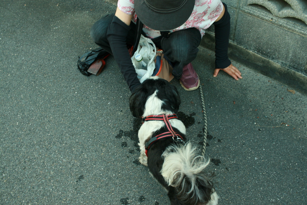 水を飲むマック