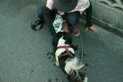 水を飲むマック