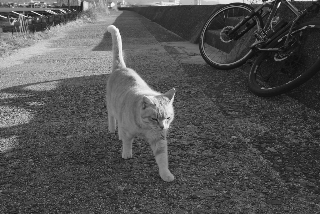 2017-02-13 夕　７