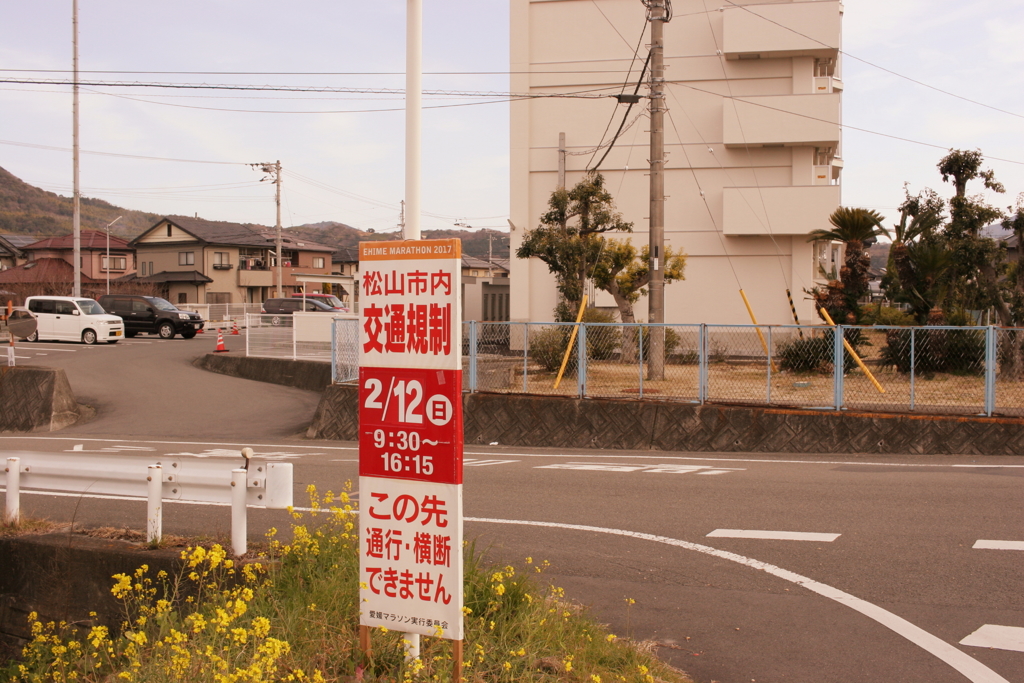 Eos20Dの特性を生かしてフィルム風仕上げ　９