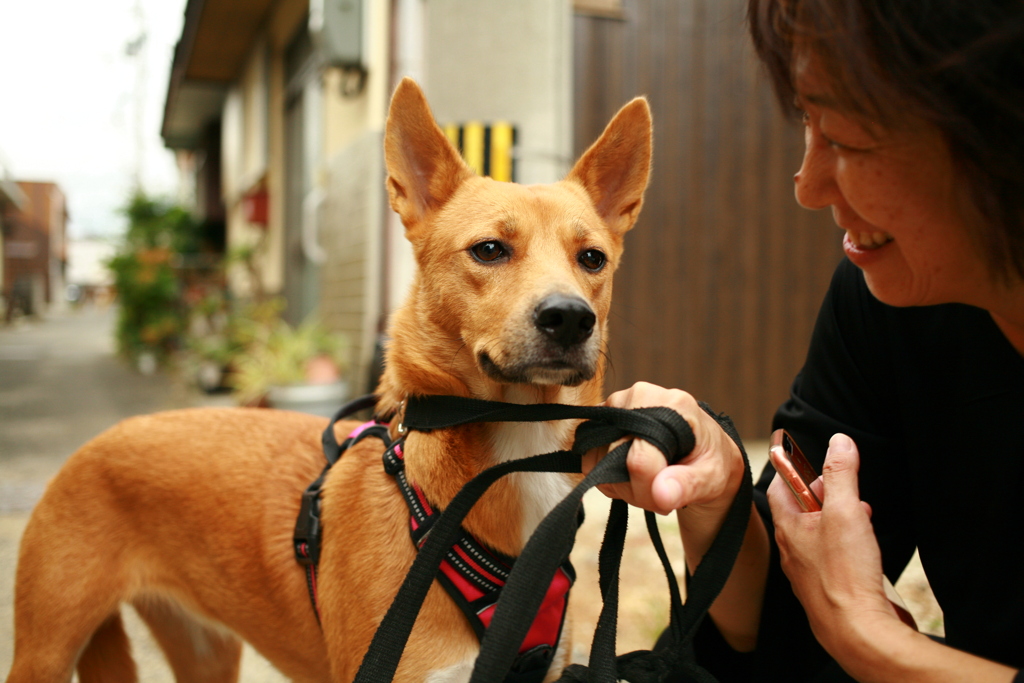 さくらちゃんとお母さん