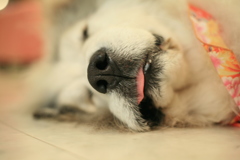 ＠2019-01-04