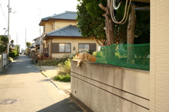 番犬してるダイちゃん